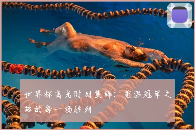世界杯高光时刻集锦:重温冠军之路的每一场胜利