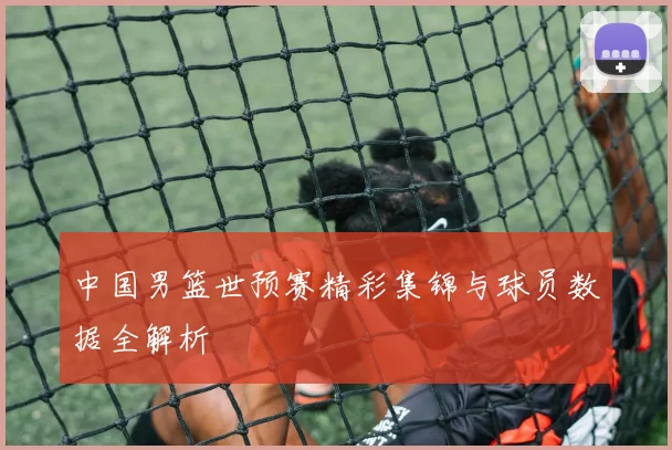 中国男篮世预赛精彩集锦与球员数据全解析