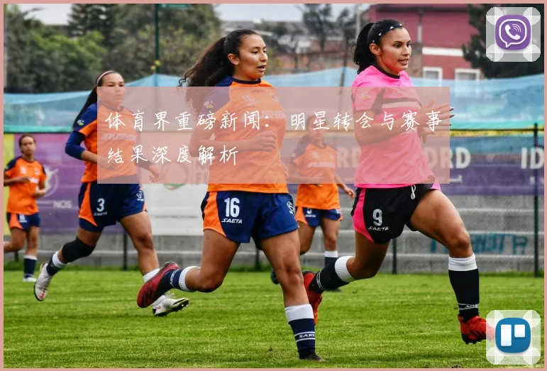体育界重磅新闻:明星转会与赛事结果深度解析