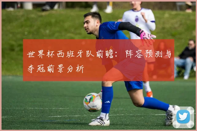 世界杯西班牙队前瞻:阵容预测与夺冠前景分析