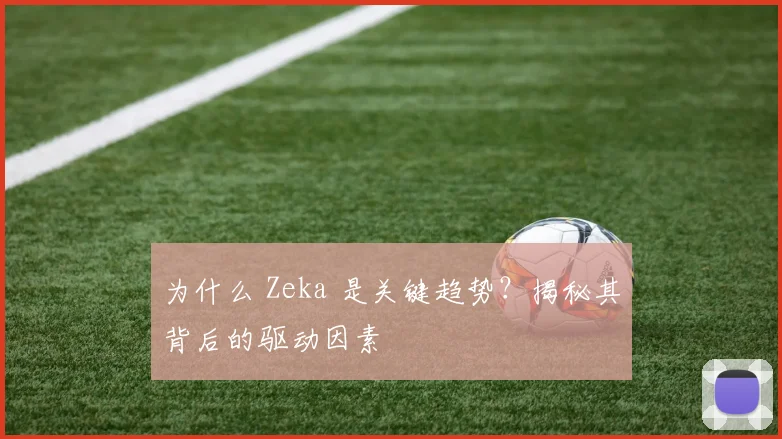 为什么 Zeka 是关键趋势?揭秘其背后的驱动因素